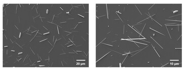 Obrazy ze skaningowego mikroskopu elektronowego nanodrutów telluru w implancie siatkówki. (Źródło zdjęcia: Science. DOI: 10.1126/science.adu2987)