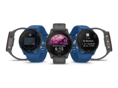 Garmin Public Beta Version 14.08 spowodował problemy, które prowadziły do ponownego uruchomienia w niektórych smartwatchach. (Źródło obrazu: Garmin)