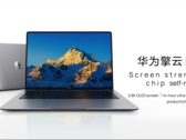 Model Qingyun L420z w kolorze space grey
