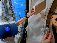 Naukowy YouTuber Steve Mould powrócił do odkrytego przez siebie efektu fontanny łańcuchowej - tym razem na pokładzie ISS, z pomocą astronauty Dona Pettita. (Źródło zdjęcia: Steven Mould)
