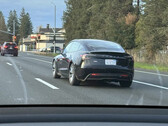 Ludzie wciąż widzą Model 3 Highland w USA (zdjęcie: Reddit)
