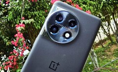 OnePlus 11 pozostanie jedynym flagowcem firmy aż do OnePlus 12, poprzedniego na zdjęciu. (Źródło obrazu: NotebookCheck)