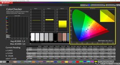 CalMAN ColorChecker (profil: natywny, docelowa przestrzeń kolorów: P3)