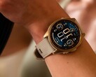 Użytkownicy smartwatcha Garmin Fenix 8 AMOLED (na zdjęciu) zgłosili problem z jasnością. (Źródło zdjęcia: Garmin)