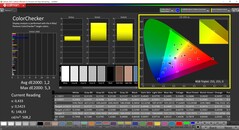 CalMAN ColorChecker skalibrowany (docelowa przestrzeń kolorów P3)