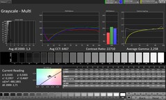Skala szarości CalMAN