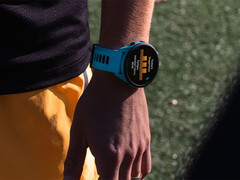 Garmin powrócił do swojego programu Forerunner Beta po krótkiej przerwie w celu usunięcia błędów, które powodowały awarie systemu w ostatniej wersji. (Źródło zdjęcia: Garmin)