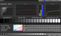 Skala szarości CalMAN