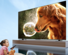 Telewizor Toshiba Z700NF Mini LED 4K został wprowadzony do sprzedaży w Chinach. (Źródło zdjęcia: Toshiba)