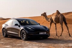 Obok popularnej Tesli Model Y, Model 3 również był testowany w ekstremalnie gorących warunkach (Image: Tesla)