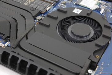 Fani pulsują rzadziej niż na zeszłorocznym Omen 17