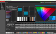 CalMAN - Color Checker