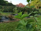 Redmi Note 13 5G: Aparat główny 108 MP