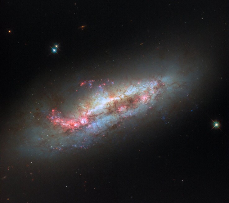 Obraz Hubble'a NGC 1151 (źródło obrazu: ESA/Hubble, NASA i D. Thilker)