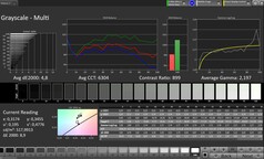 Skala szarości CalMAN