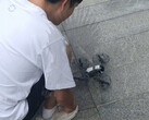 DJI Mini 5 Pro jest już w fazie testów. (Źródło zdjęcia: Igor Bogdanov)