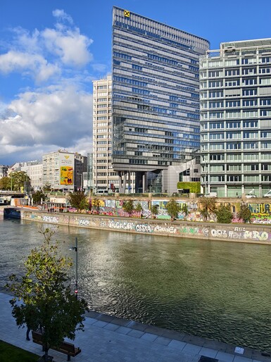 Czujnik Vivo 28 mm przycięty z ultraszerokiego kąta.