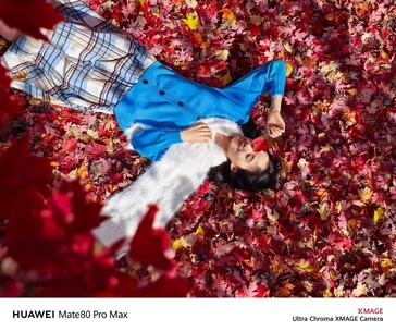 (Źródło obrazu: Huawei)