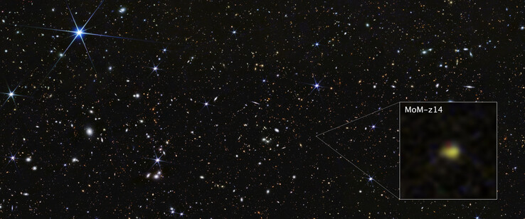 Obraz Webba galaktyki MoM-z14