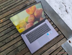 W recenzji: Huawei MateBook D 15 Intel (2021), udostępniony przez Huawei Niemcy.