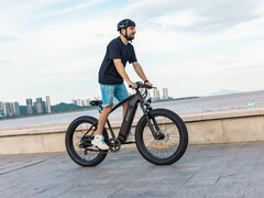 E-rower DYU King 750 fat tire ma prędkość maksymalną 45 km/h (~28 mph). (Źródło obrazu: DYU)