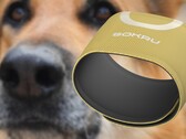 Zainspirowany psim nosem czujnik wearable Sokru wykrywa lotne związki organiczne. (Źródło obrazu: Lakka/Unsplash - edytowane)