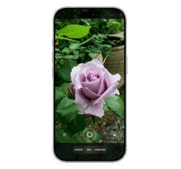 Siri ma zostać po raz pierwszy wbudowana w aplikację Aparat, integrując wizualną inteligencję do identyfikacji obiektów za pośrednictwem zewnętrznych usług AI, takich jak Google i ChatGPT, mówi przeciek.