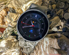 Samsung Display dostarcza wyświetlacze dla Apple i smartwatchów Samsunga. (Źródło obrazu: NotebookCheck)