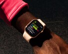 Żywotność baterii zegarka Apple Watch Series 11 prawdopodobnie nie będzie znacznie dłuższa niż w przypadku Series 10. (Źródło obrazu: Apple)