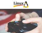 Prawie 3% użytkowników Steam korzysta obecnie z Linuksa. (Źródło zdjęcia: superanton via Pixabay / Vexels)