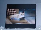 Vivo X Fold5 ma dobrze współpracować z zegarkiem Apple, a także z iPhone'ami, MacBookami i iCloud. (Źródło obrazu: Vivo)