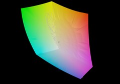 MSI Katana 17 HX vs sRGB