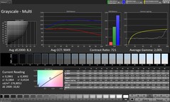 Skala szarości CalMAN