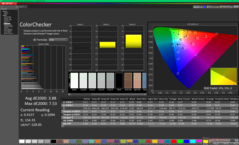ColorChecker przed kalibracją (sRGB)