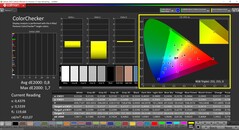 CalMAN ColorChecker (profil: skalibrowany, docelowa przestrzeń kolorów: P3)