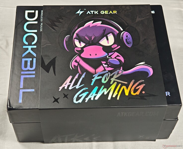 Opakowanie zewnętrzne z etui