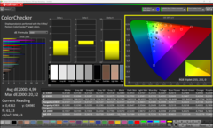 Calman ColorChecker po kalibracji