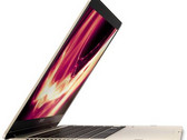 Asus UX461UN