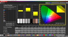 CalMAN ColorChecker (profil: Natywny, docelowa przestrzeń kolorów: P3)