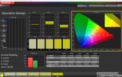 Nasycenie CalMAN (profil: P3)