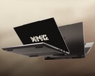 Seria XMG EVO M24 posiada dwa gniazda SO-DIMM do rozbudowy pamięci RAM. (Źródło: XMG)