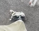 DJI Neo 2 powinien zostać uruchomiony z 10% większą baterią niż obecny DJI Neo. (Źródło zdjęcia: przez Igor Bogdanov - edytowane) 