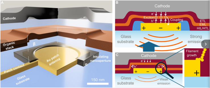 (Źródło obrazu: Science.org)