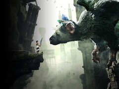 Obraz z gry The Last Guardian na PS4. (Źródło obrazu: PlayStation)