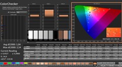 Calman: ColorChecker (skalibrowany)