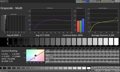 Skale szarości CalMAN
