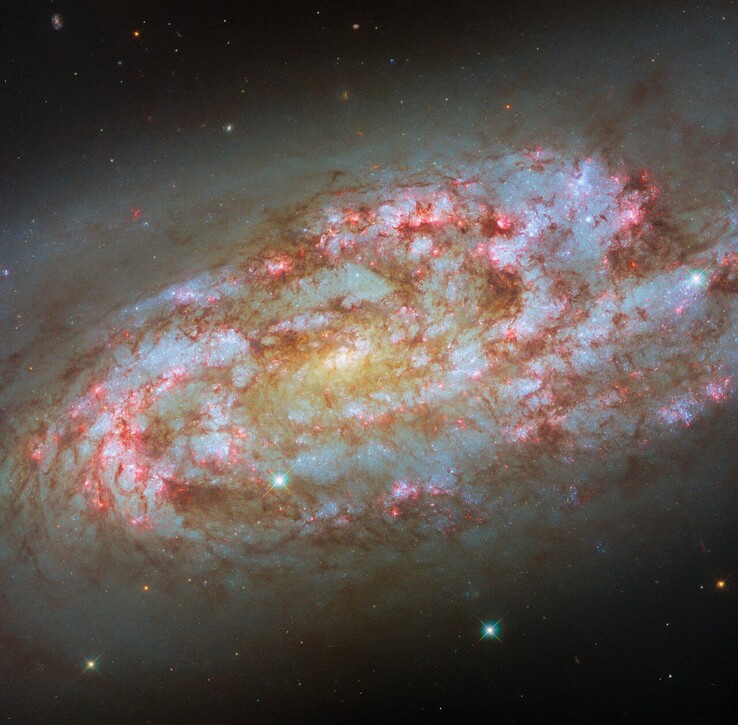 Zdjęcie Hubble'a NGC 1792 (Źródło zdjęcia: ESA/Hubble, NASA, D. Thilker, F. Belfiore, J. Lee, and the PHANGS-HST Team)