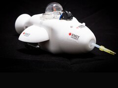 Elektroniczny delfin