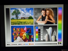 Szerokie kąty widzenia IPS