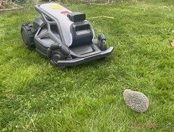 Airseekers Tron niezawodnie wykrył naszego manekina jeża w teście.